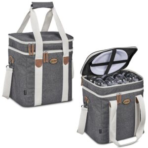 Serendipio Brookfield 4-Person Picnic Cooler
