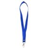 Generic Lanyard